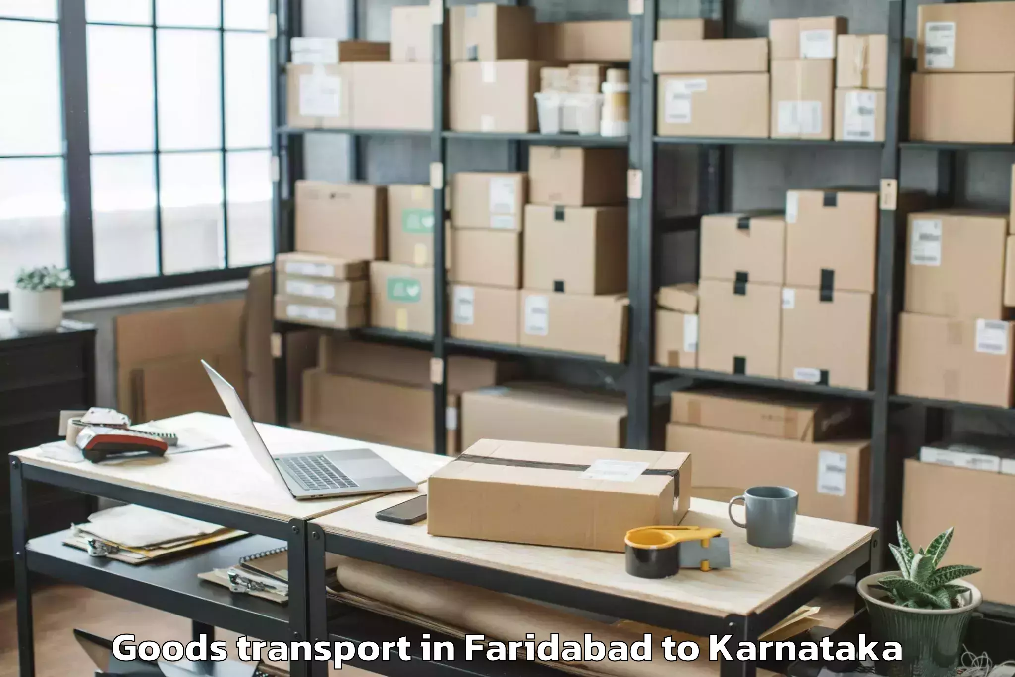 Expert Faridabad to Sharnbasva University Gulbarga Goods Transport